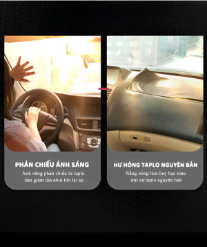 Thảm taplo tuyết nhung